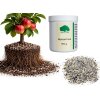 Mykorrhiza 150g Mykorrhiza-Pilze für die Anwendung beim Pflanzen / Umpflanzen für alle Pflanzen / Bäume