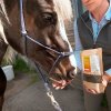 HorseCare Bokashi PLUS 1kg schrotartiges Ergänzungsfuttermittel für Pferde