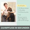 noms+ Dentalspray 100ml  für Hunde und Katzen bei Zahnstein mit EM und Minze